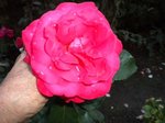DSCN0055.JPG