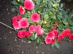 DSCN0056.JPG