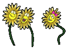 fleurs (2).gif