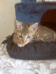Image170.jpeg