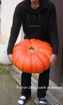 Potiron 29kg cueilli sur le dessus du poirier sauvage.
