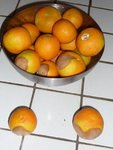 Clémentine tâchée 1