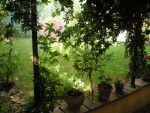 Vue de la terrasse