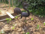 Un occupant inoffensif