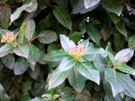 imgp0418.jpg
