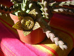 DSCN3844.JPG