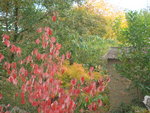 octobre 2009 026.jpg