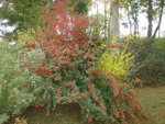 octobre 2009 032.jpg