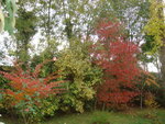 octobre 2009 034.jpg