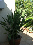 DSCN3855.JPG