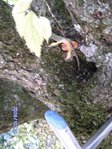 vue du trou entre les 2 branches, main gauche photo très floue.