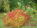 octobre 2009 009.jpg