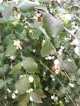 dsc00217.jpg