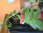 DSC01439.JPG