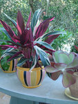 DSCN3551.JPG