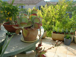 DSCN3669.JPG