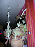 DSCN3858.JPG