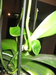 IMG_1523.JPG
