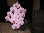 IMG_0453B.jpg