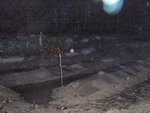 PB097625 net cont jinf.jpg