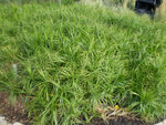 1PB050008.jpg