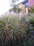 1PB050020.jpg