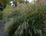 1PB050021.jpg