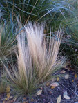 1PB050029.jpg