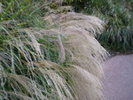 1PB050038.jpg