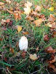 imgp0561.jpg