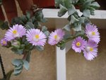 dsc02410.jpg