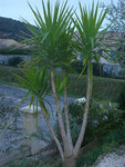 DSCN3205.JPG