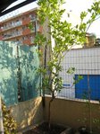 Copie de IMG_1289.JPG