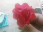 rose.jpg