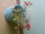 SP_A0345.jpg