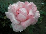 DSCN0025.JPG