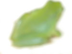 DSCN0222.JPG