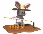 gif_anime_animaux_0228.gif