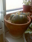 Image291.jpeg