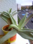 Image297.jpeg
