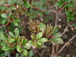 DSC00437.JPG