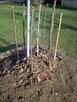 DSCN3172-2.jpg