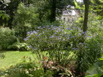 DSCN5627.JPG