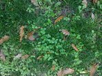 26112009110.jpg