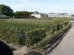 P1020160.JPG