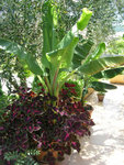 DSCN3493.JPG
