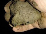 Photo 1 . Une boule de terre