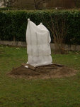 DSCN3189.jpg