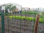 Jardin 25-05-2009 011 [800x600].jpg