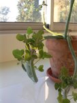 Photo0024.jpg